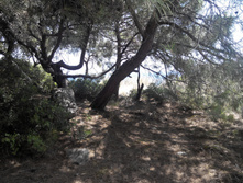 2014-05-31 14-13-35.JPG