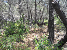 2014-05-31 14-15-15.JPG