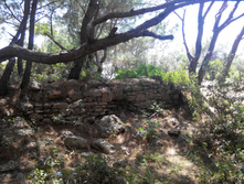 2014-05-31 14-15-40.JPG