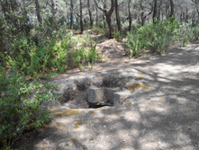 2014-05-31 14-18-16.JPG