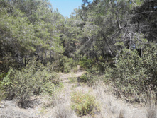 2014-05-31 14-19-09.JPG