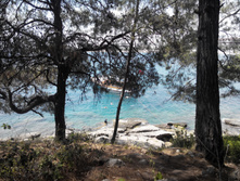 2014-05-31 14-20-30.JPG