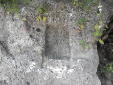 2014-05-31 14-27-42.JPG