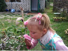 ������� � ����������