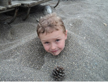 ���� �����.jpg