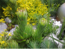 �������� ���� ��������� ������