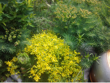 ����������� ������� � ������\\����� �����