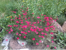 �������� ��������