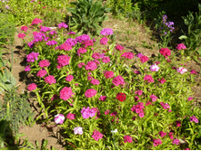 �������� ��������