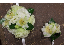 �� - 22  / �� - 20