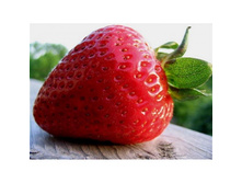 ��������� ������� � ��������� 175�� 146 �.jpg