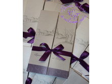 ���������� ����������� �����������