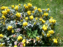 ����-0023.jpg