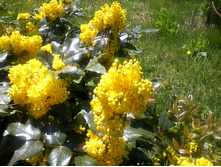 ����-0024.jpg