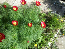 ����-0028.jpg