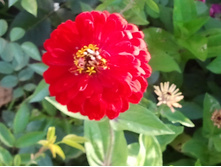 2012-07-09 07.19.15.jpg
