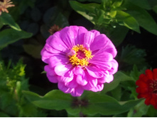 2012-07-09 07.19.24.jpg