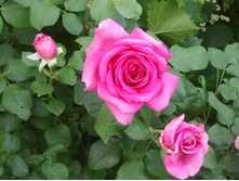 2012-07-10 19.53.31.jpg