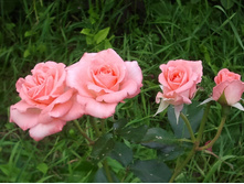 2012-07-10 19.52.57.jpg