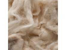 Cocoon Strippings2.jpg
