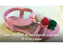 50020001.jpg