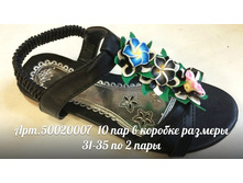 50020007.jpg