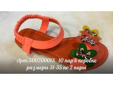 500200013.jpg