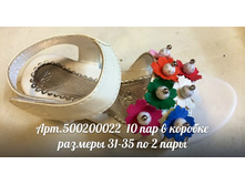 500200022.jpg