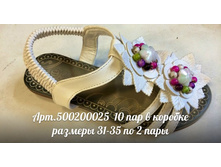 500200025.jpg