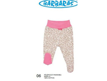 �������� 06 ���� 319 ���