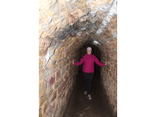 ������� ��������