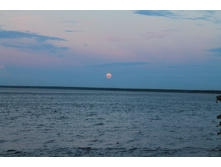 ���� ��� �������