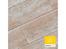 ������ (�������).