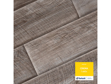 ����� (�����-����������).