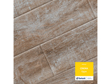 ���� (����������).