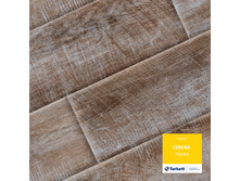 ����� (����-����������).