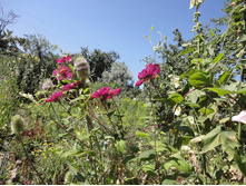 DSC01635.JPG