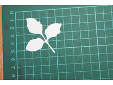 6�-�������� ��� ����� ������ 300��/�2, �����������,