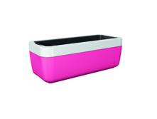 ���� ������� ����� �����.jpg