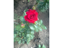 ����0540.jpg