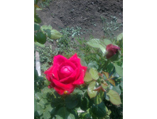 ����0543.jpg