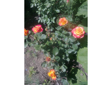 ����0553.jpg