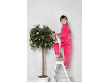 320201-H (1) ������ - 450 ���..jpg