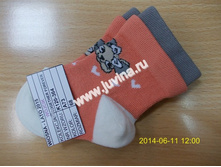 DSCN8204 (����������).jpg