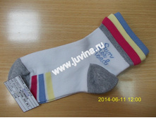 DSCN8234 (����������).jpg