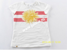 IMG_8183 (����������).jpg