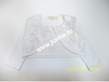 DSCN8080 (����������).jpg