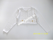 DSCN7568 (����������).jpg