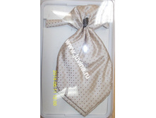 DSCN8754 (����������).jpg