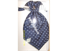 DSCN8760 (����������).jpg